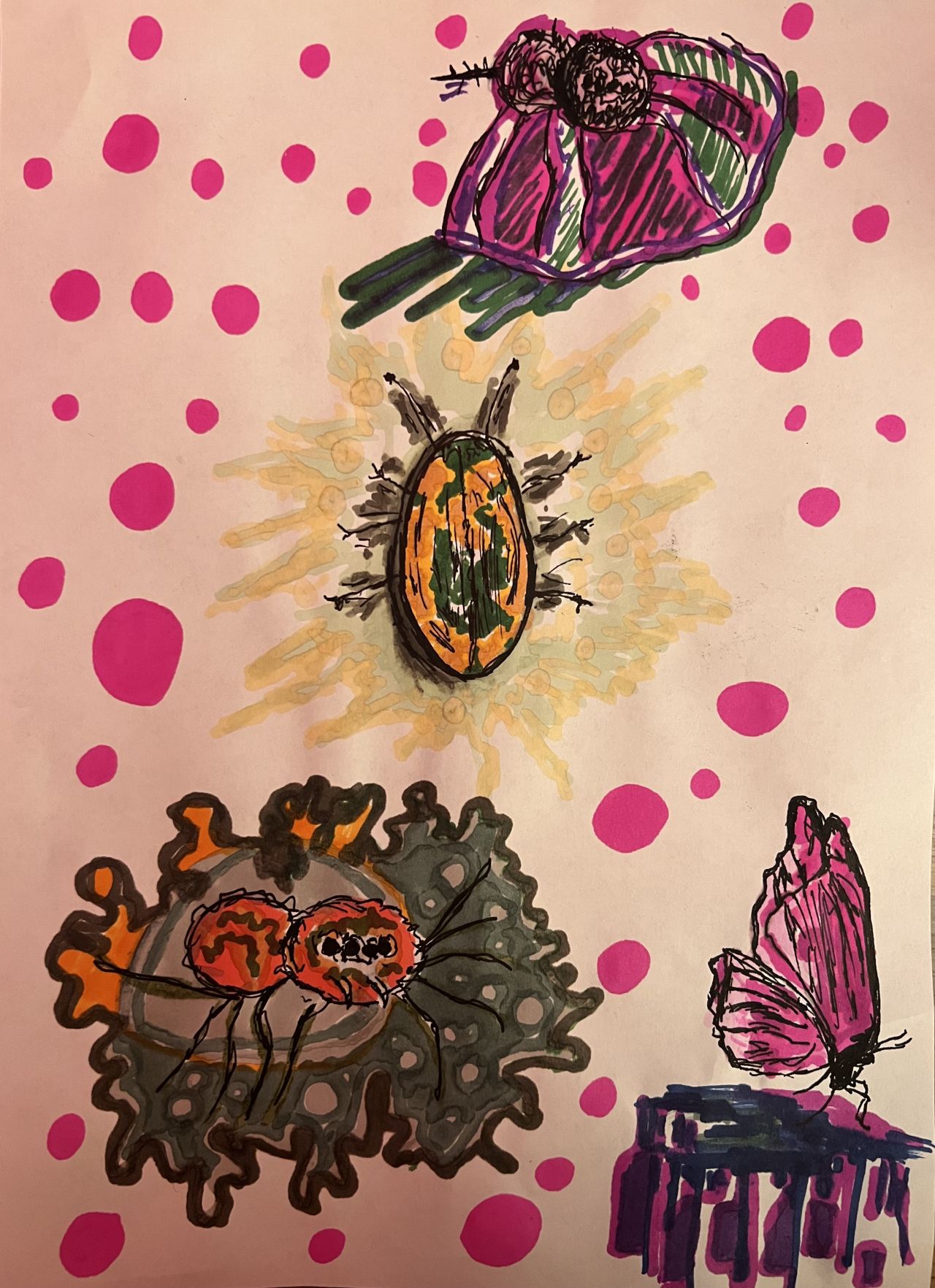Insect drawing