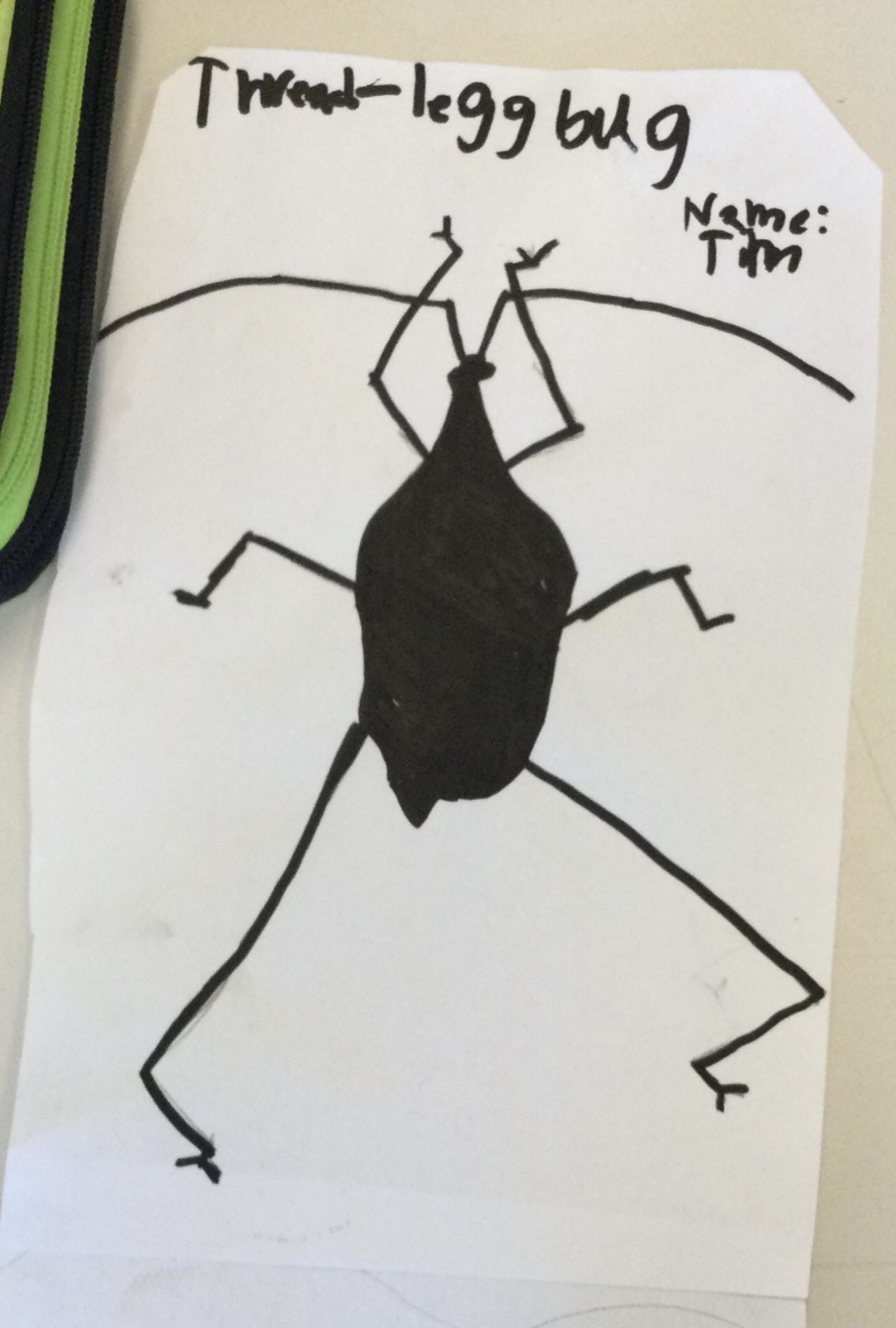 Three-legg bug