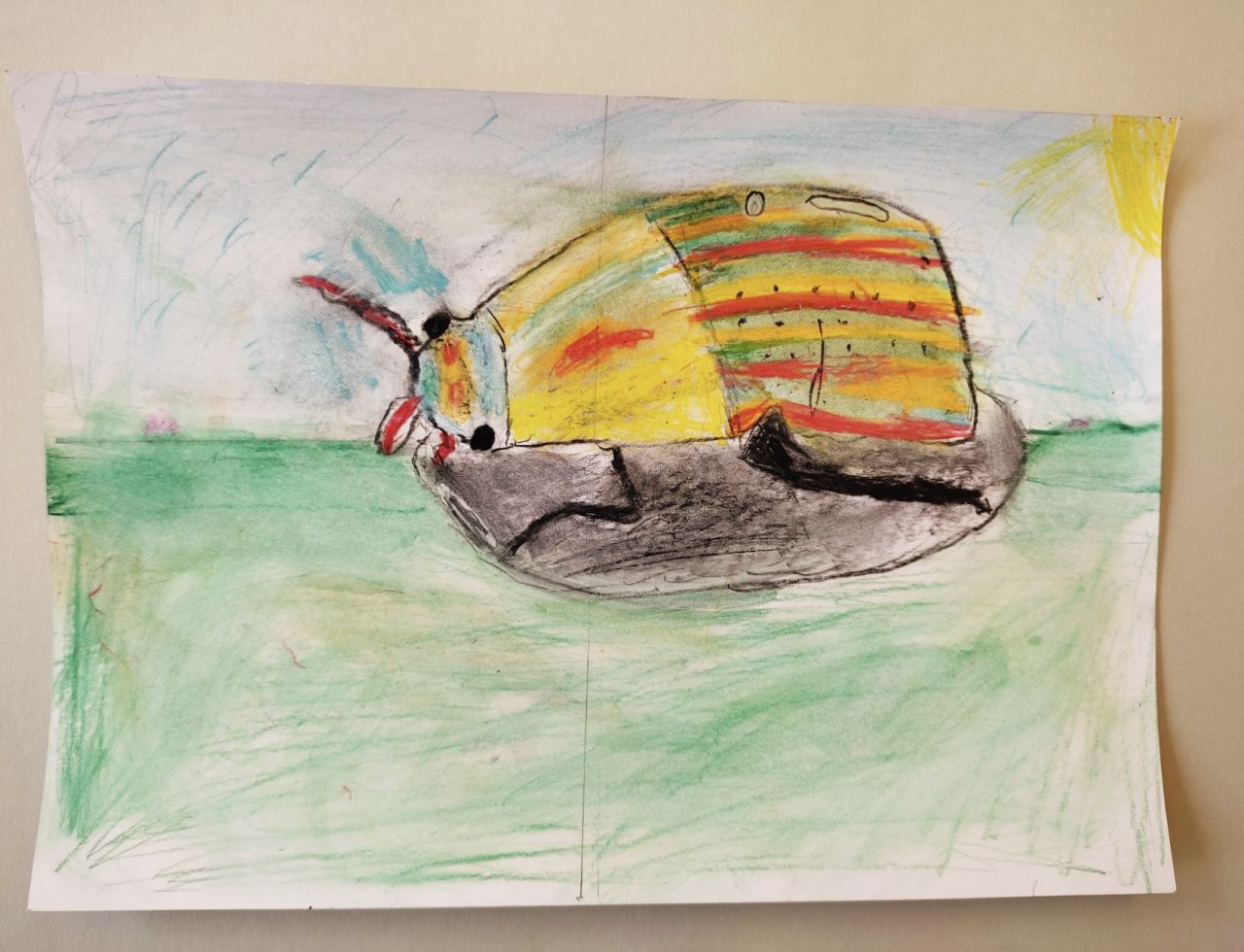 Der Regenbogenkäfer