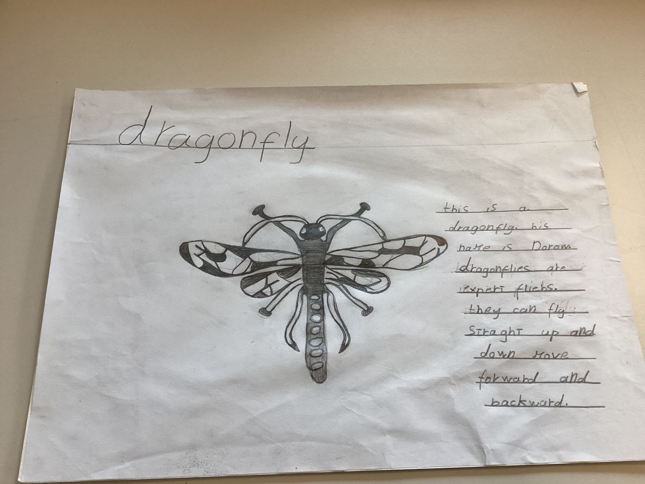 Dragonfly