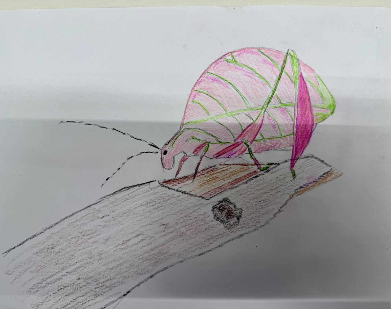 The Pink Leaf Mantis