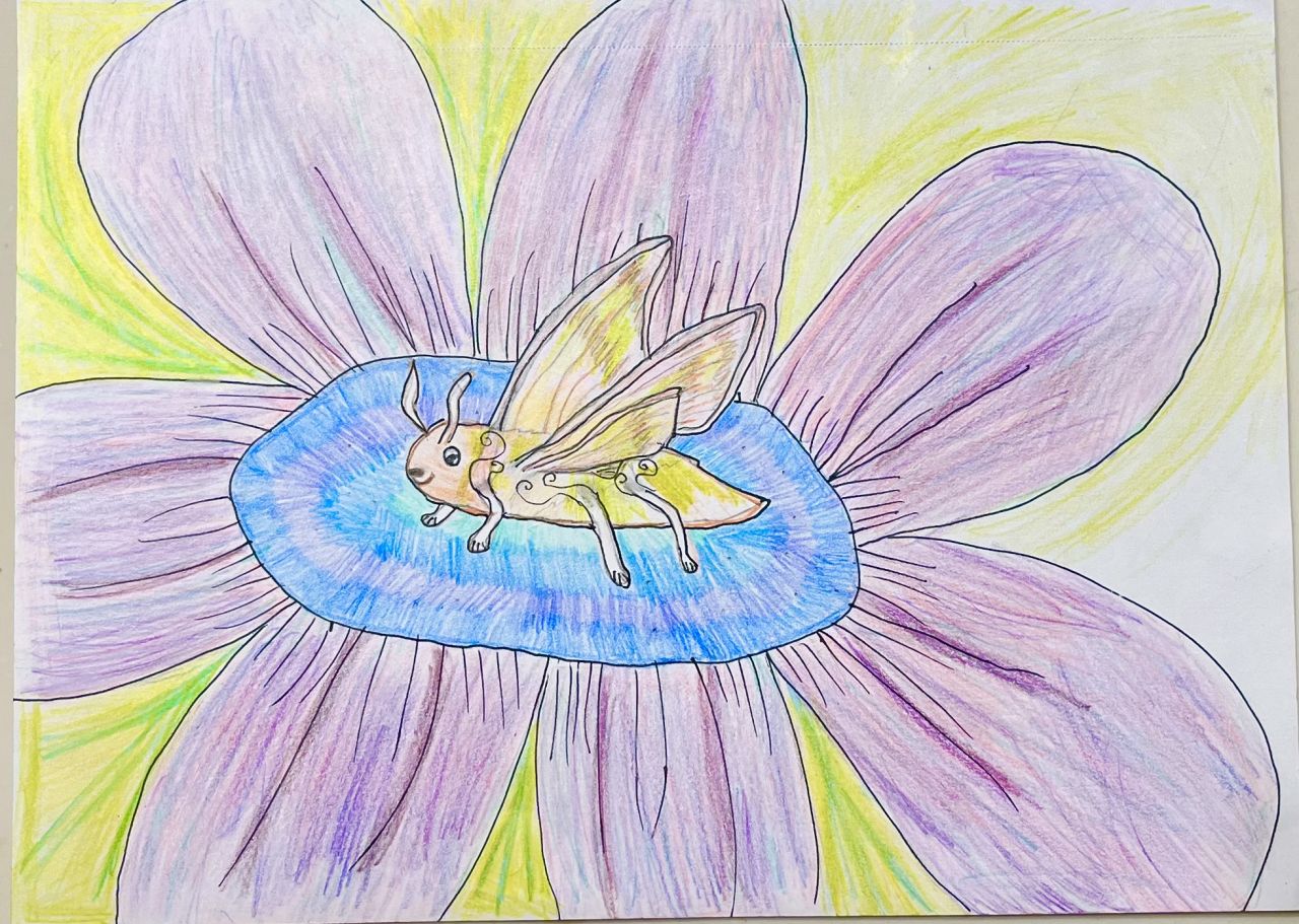 The Super Fury Hawk Moth