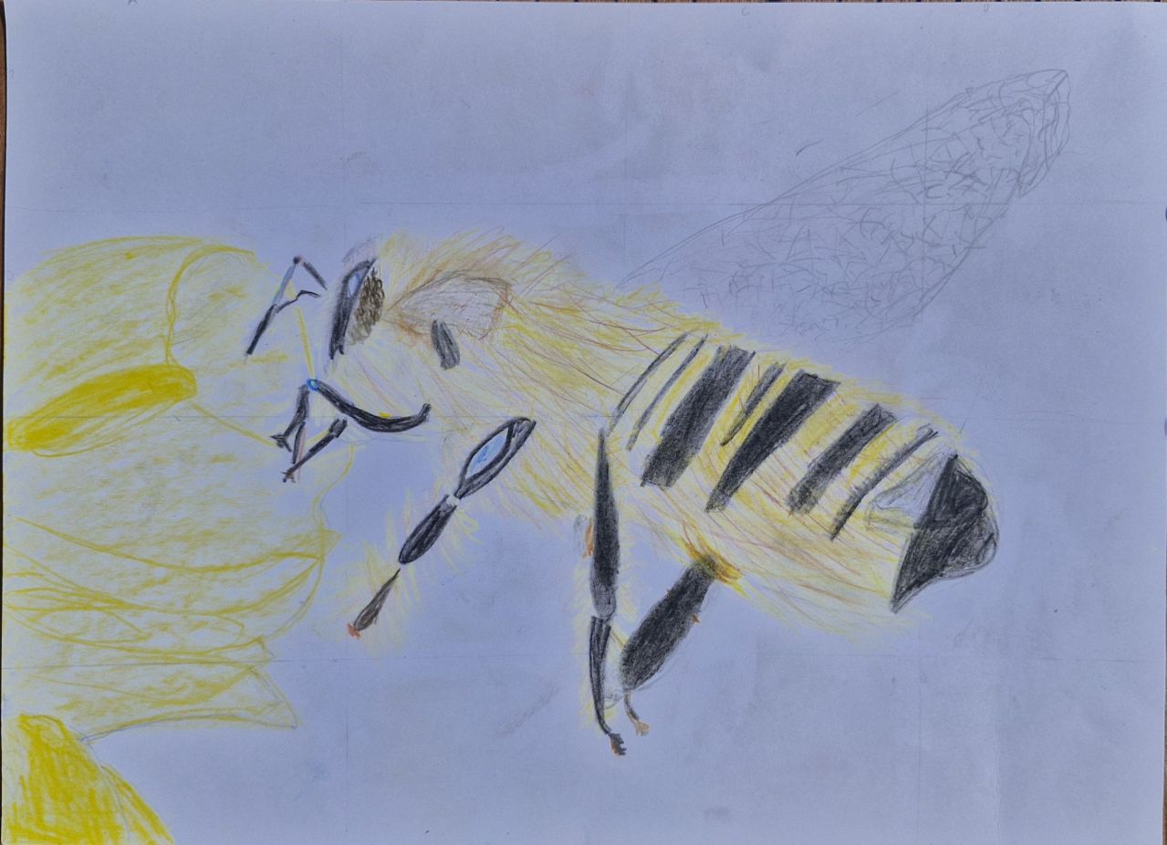 Meine kleine, hungrige Biene