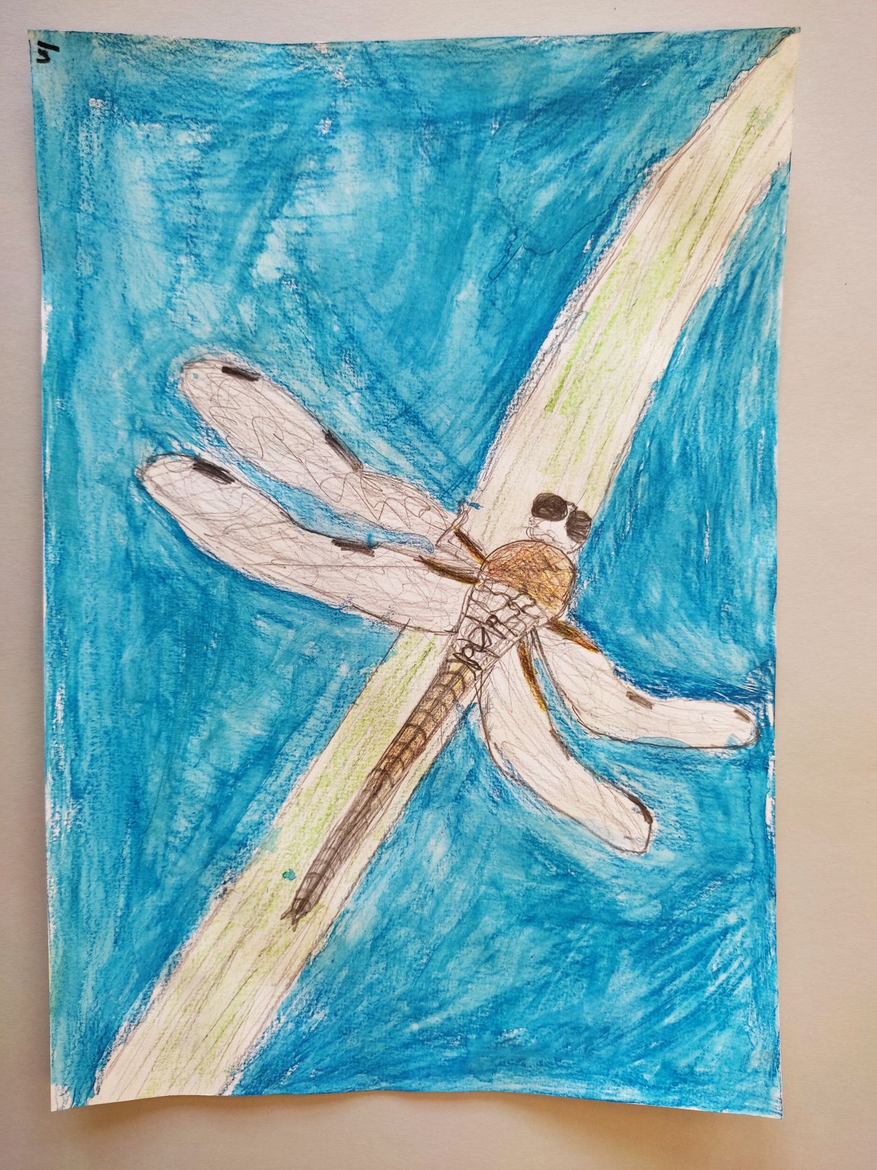 Libelle auf der Jagd