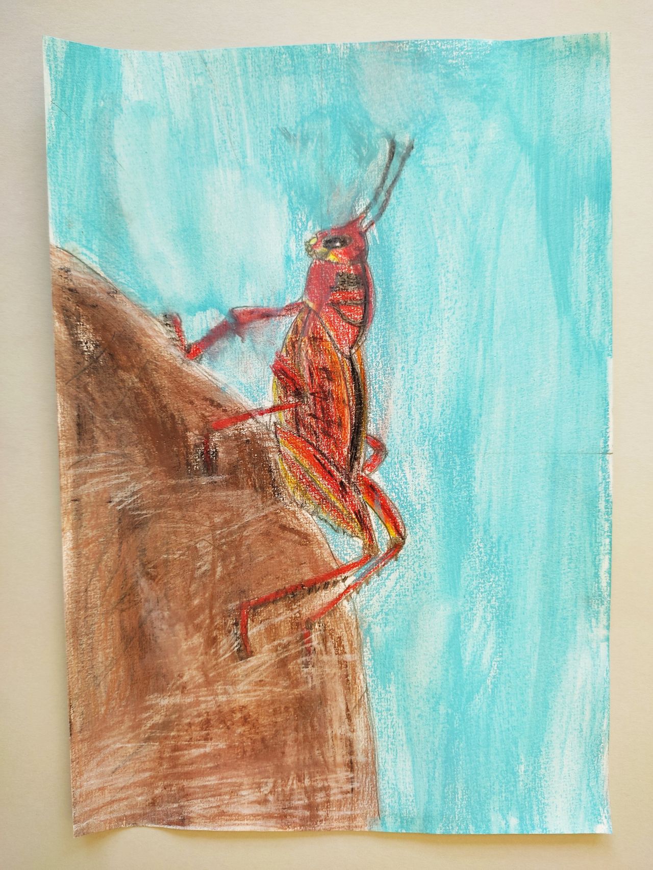 Der rote Grasshüpfer