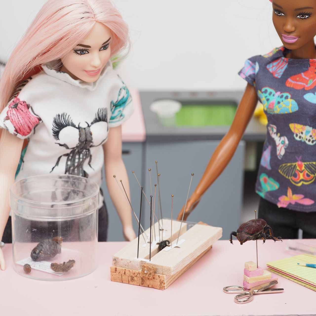 Zwei Barbies stecken Insekten auf eine speziell angefertigte Spreizbox – ein Werkzeug, das in der Entomologie häufig verwendet wird.