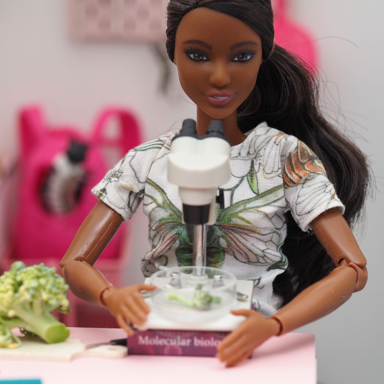 Barbie and insects: Entomology with a twist | Biocommunication Group