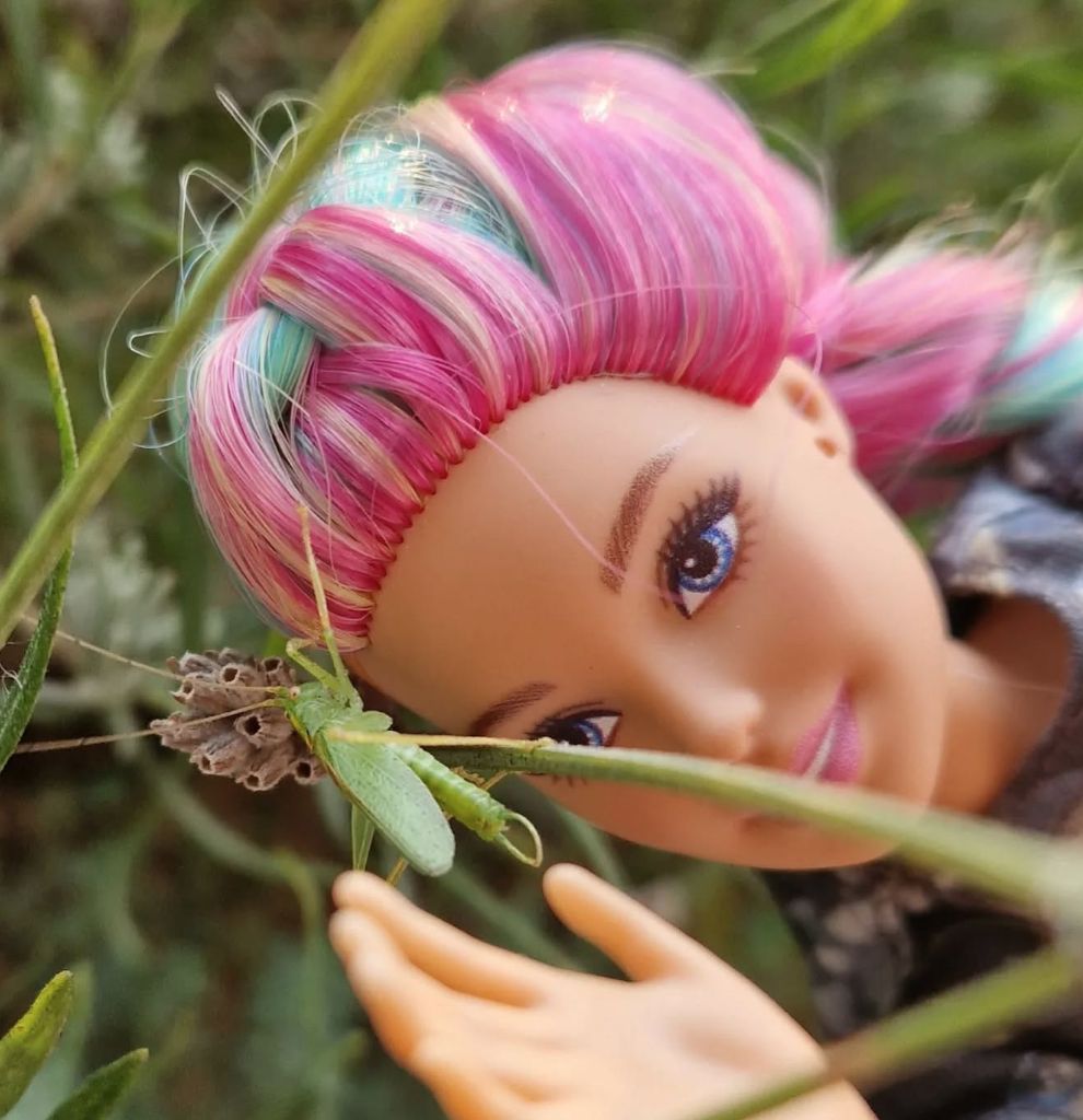 Entobarbie profile photo