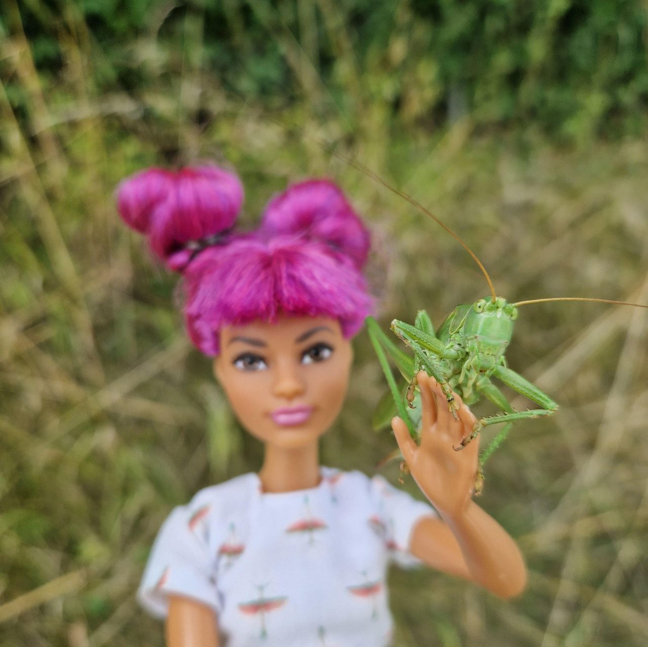 Ein Grünes Heupferd, Tettigonia viridissima, posiert auf einer Barbie-Puppe mit pinken Haaren.