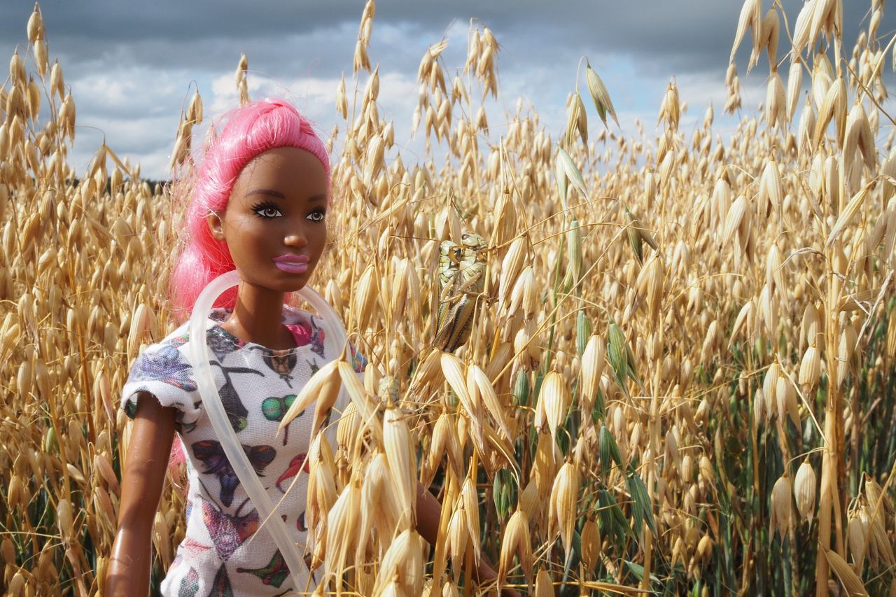 Entobarbie auf der Suche nach Insekten auf dem Feld. Das Plastikröhrchen um ihren Hals ist ein übliches Werkzeug, um Insekten zu fangen.