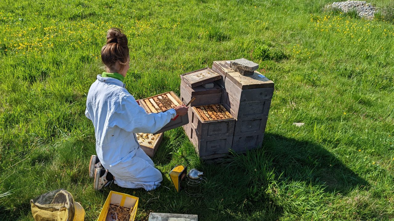 Florine while taking care of her honeybee colonies.