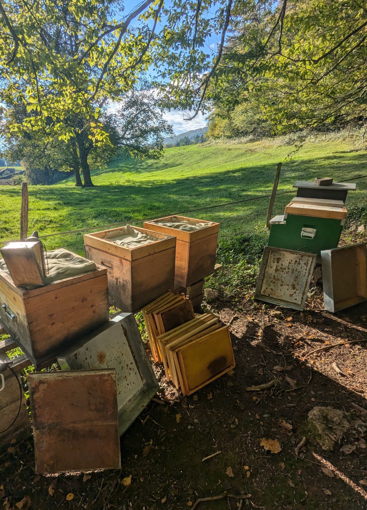Die Bienen bereiten ihre letzten Reserven vor, die Königin legt weniger Eier. Das Bienenvolk wird kleiner, und die Winterbienen werden produziert