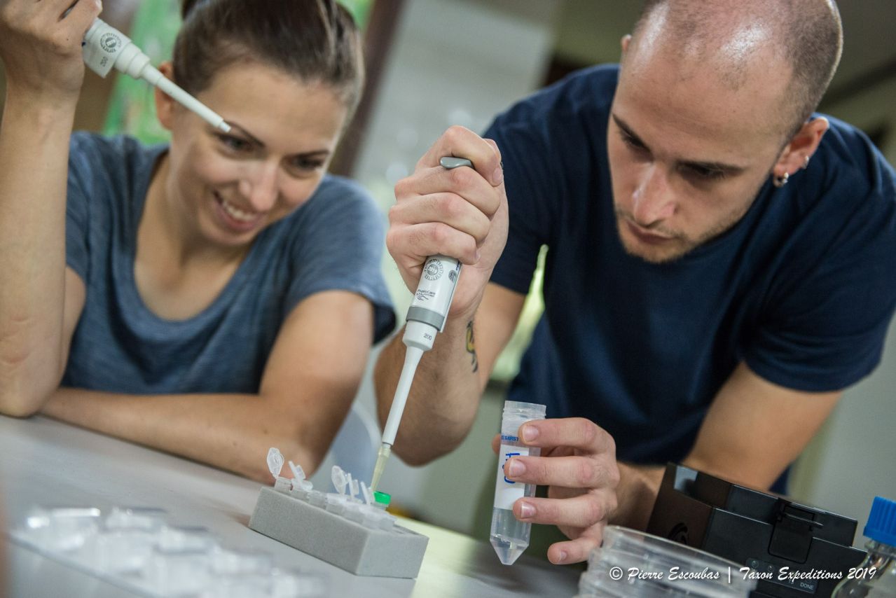 Ein Genetiker schult eine Teilnehmerin in molekularbiologischen Techniken.