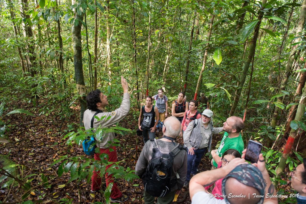 Citizen scientists receiving instructions from a scientist in the forest.