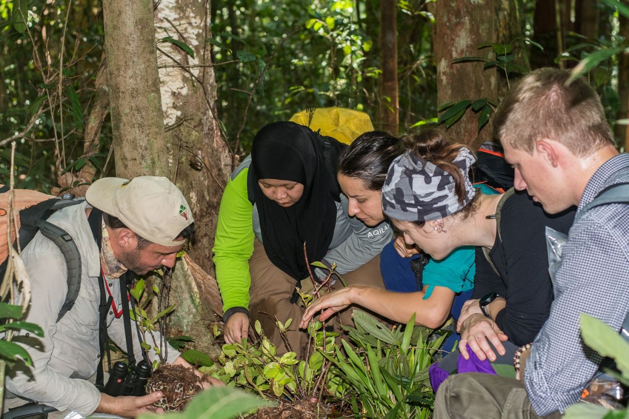 The group is making observations in the forest with the help of Iva (in the middle).