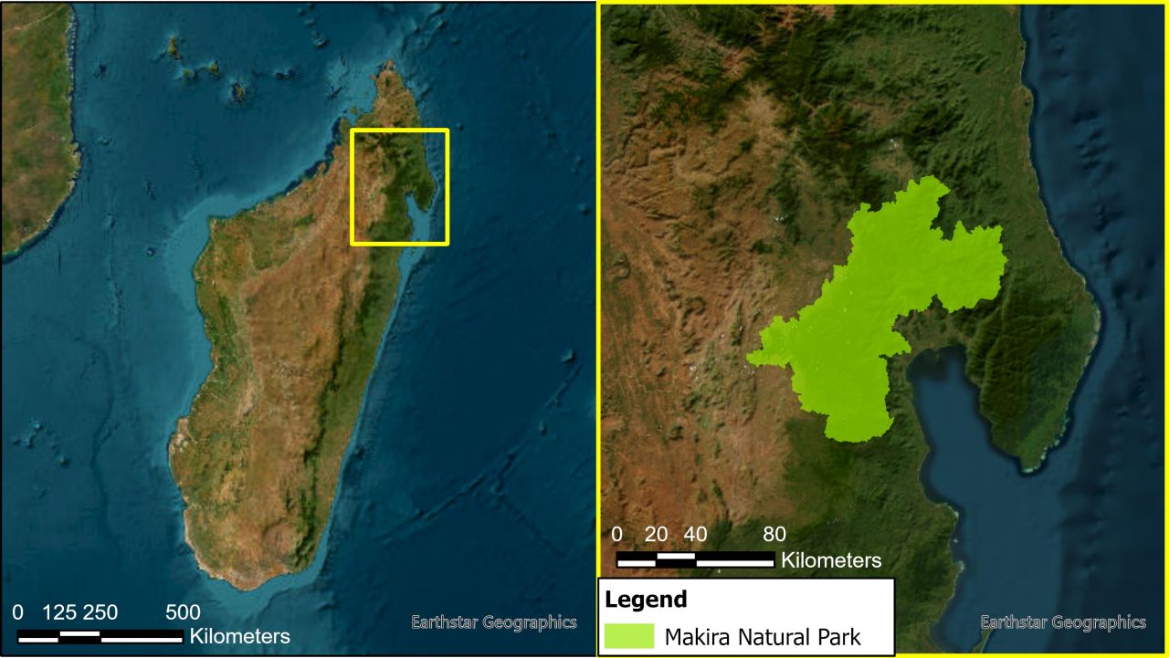 The Makira Natural Park (in green) is located in the north-eastern part of Madagascar as seen on these maps (satellite imagery basemap from [1], Makira Natural Park area from [2]).