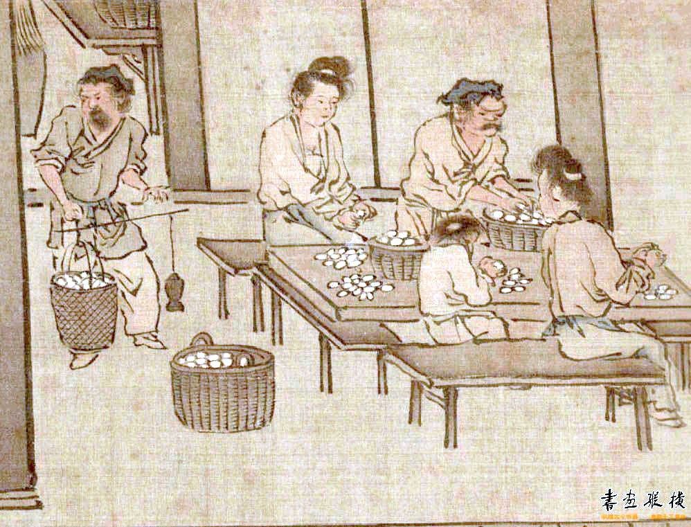 A drawing depicting silk workers in China sorting and weighing cocoons produced by domesticated silkworm the larvae of silk moths