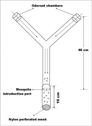 Schematic drawing of customised Y tube olfactometer with mosquito release chamber