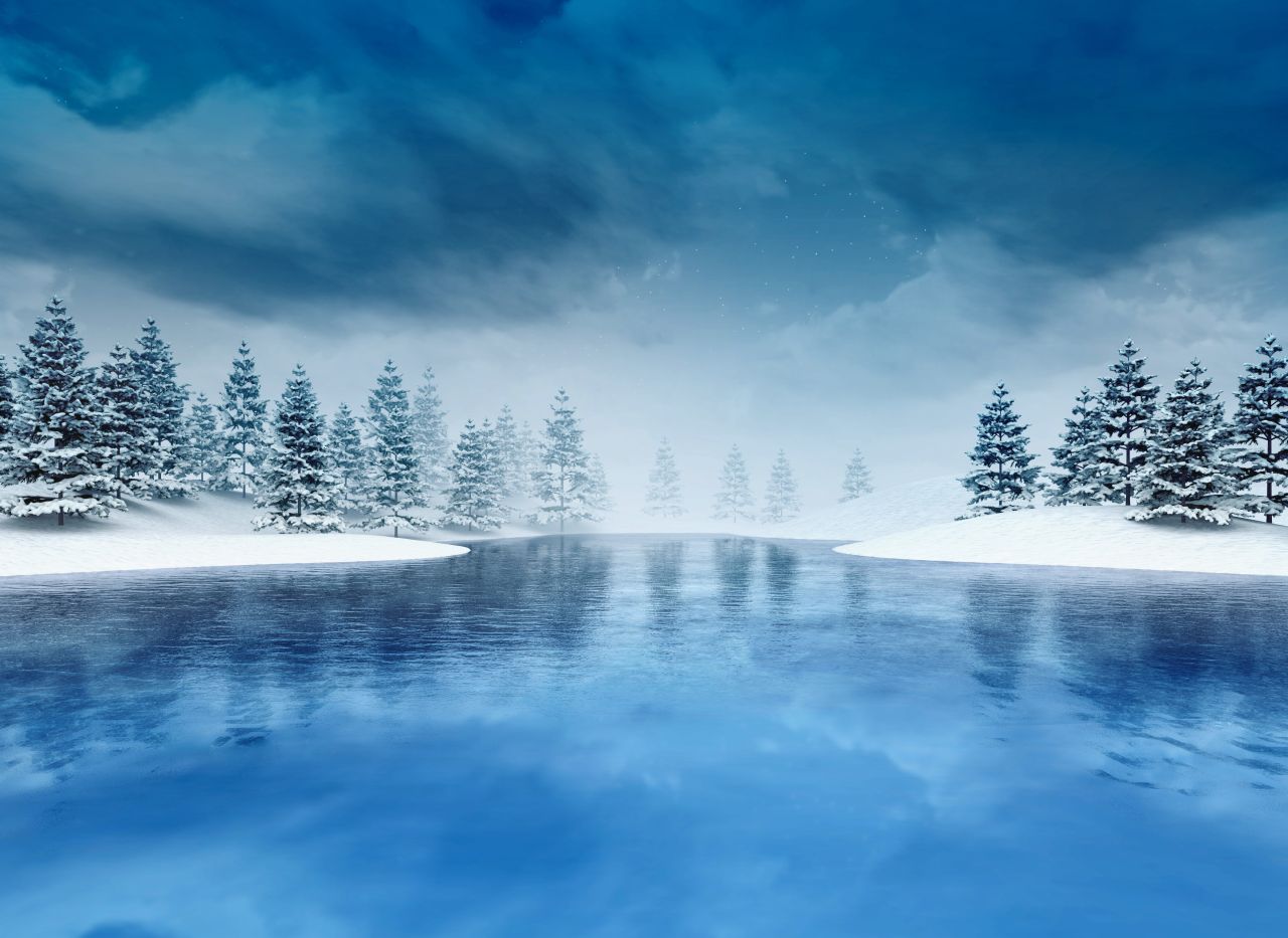 Some mosquito larvae survive winter submerged in cold or frozen bodies of water