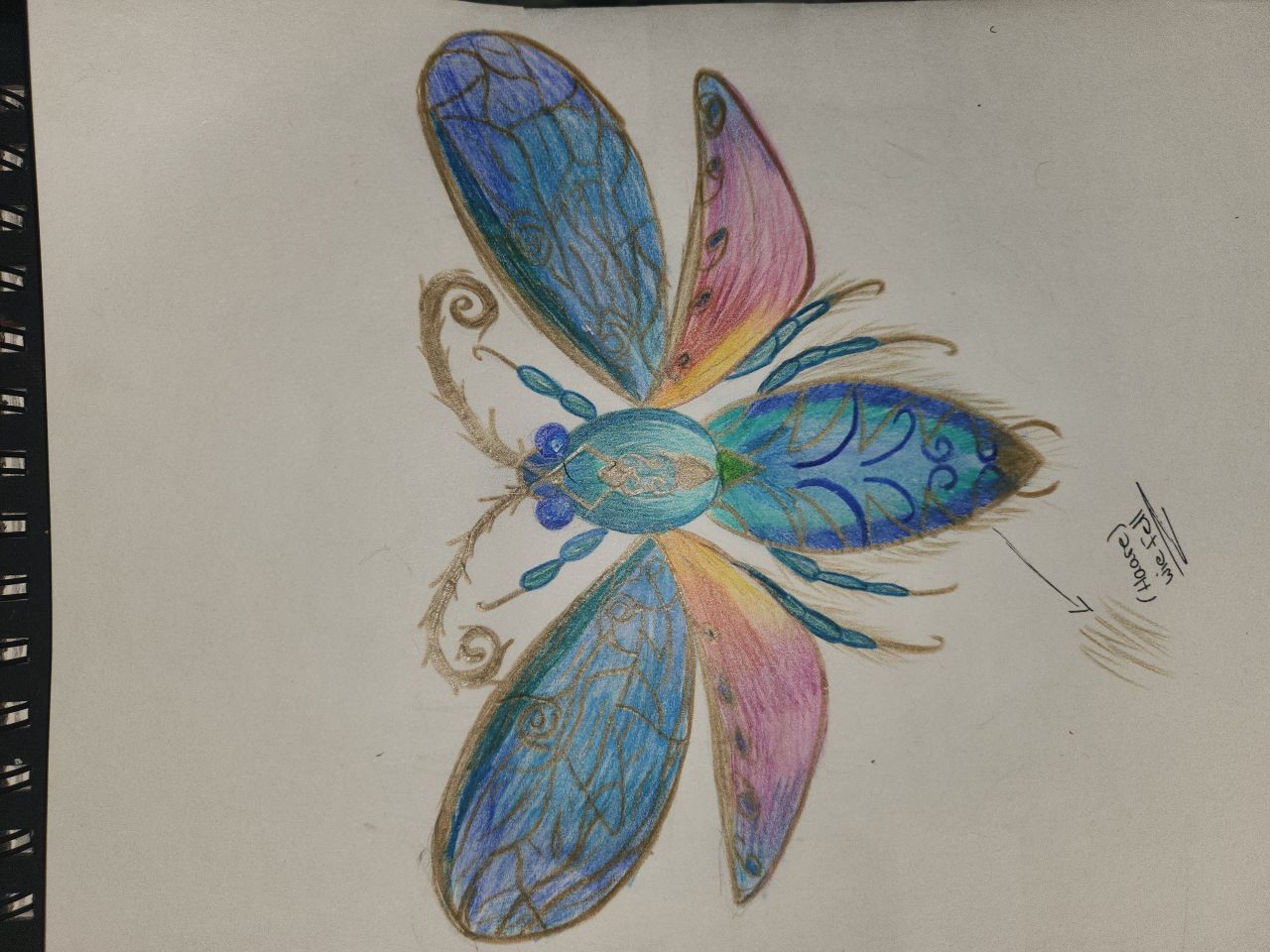 1 loved the whimsy and detailed description Der Funkelnde Nachtwanderer