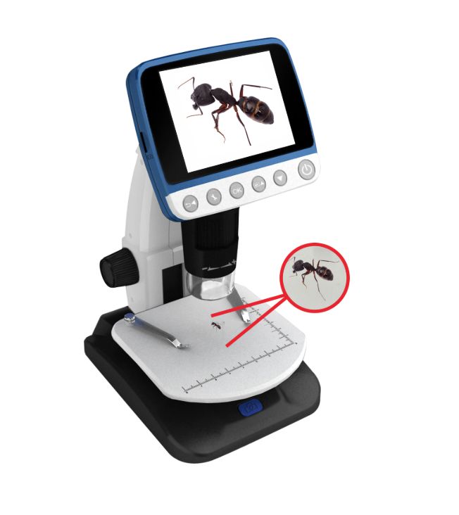 Screenshot 2025 02 11 at 13 15 46