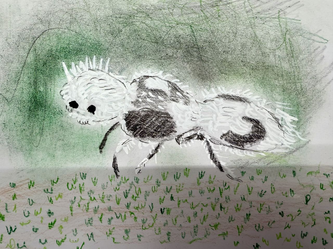 1 Great drawing and enjoyed the witty description The Panda Ant