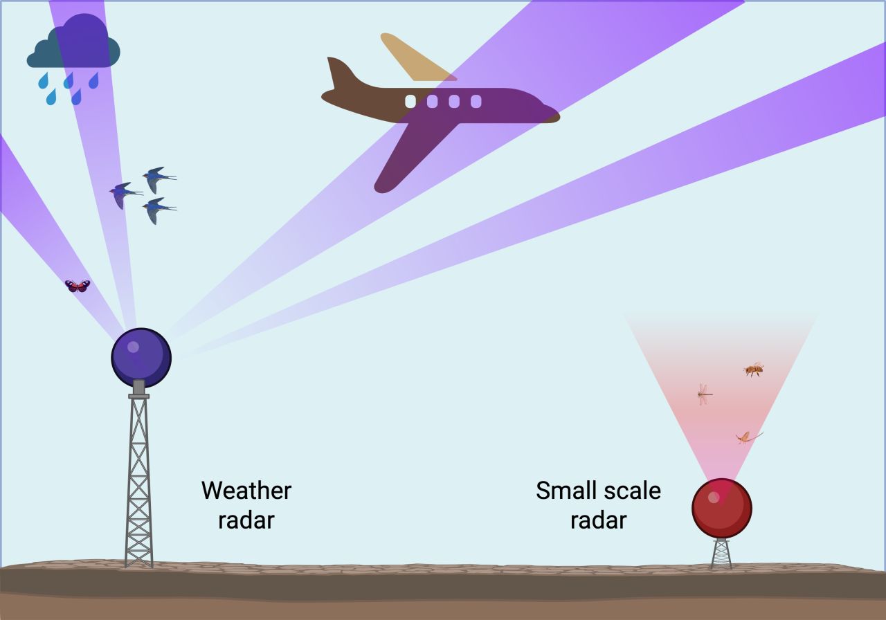 Two types of radars are currently used to monitor insects – weather radars and specialized small-scale radars.