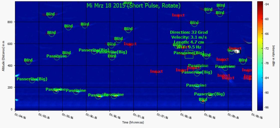 An example of radar outputs, a program converts the measured objects into Birds, Passerine (smaller birds) and insects.