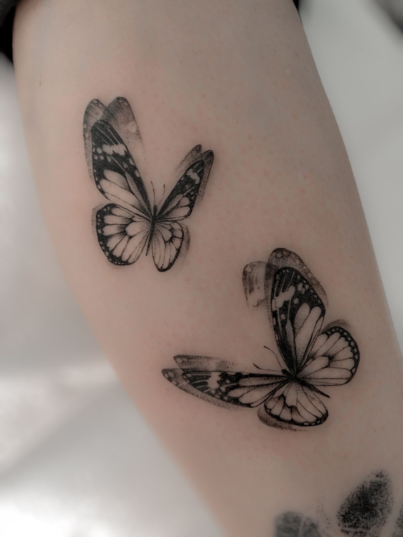 Butterfly tattoos