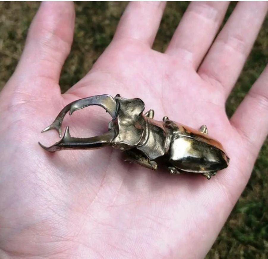 Massiver Bronzeguss eines Hirschkäfers (Lucanus cervus), gegossen nach einem grossen toten Männchen, das in Frankreich gefunden wurde.