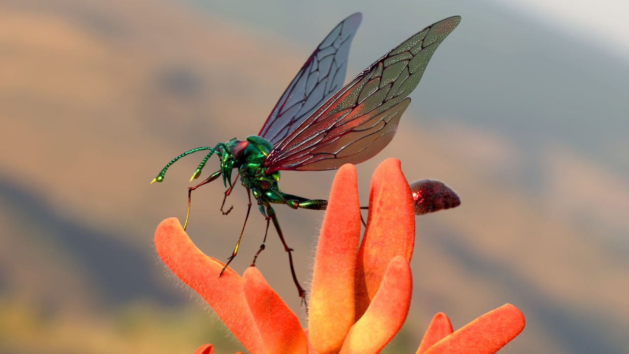 ZB LVSTRM wasp render 05