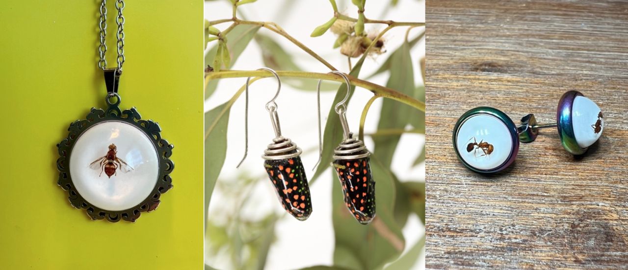 Produkte von Bugs & Beads mit echten Insekten.