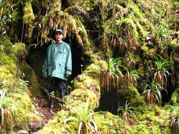 A young Vivian blending into the cloud forest vegetation at Chingaza National Park in Colombia
