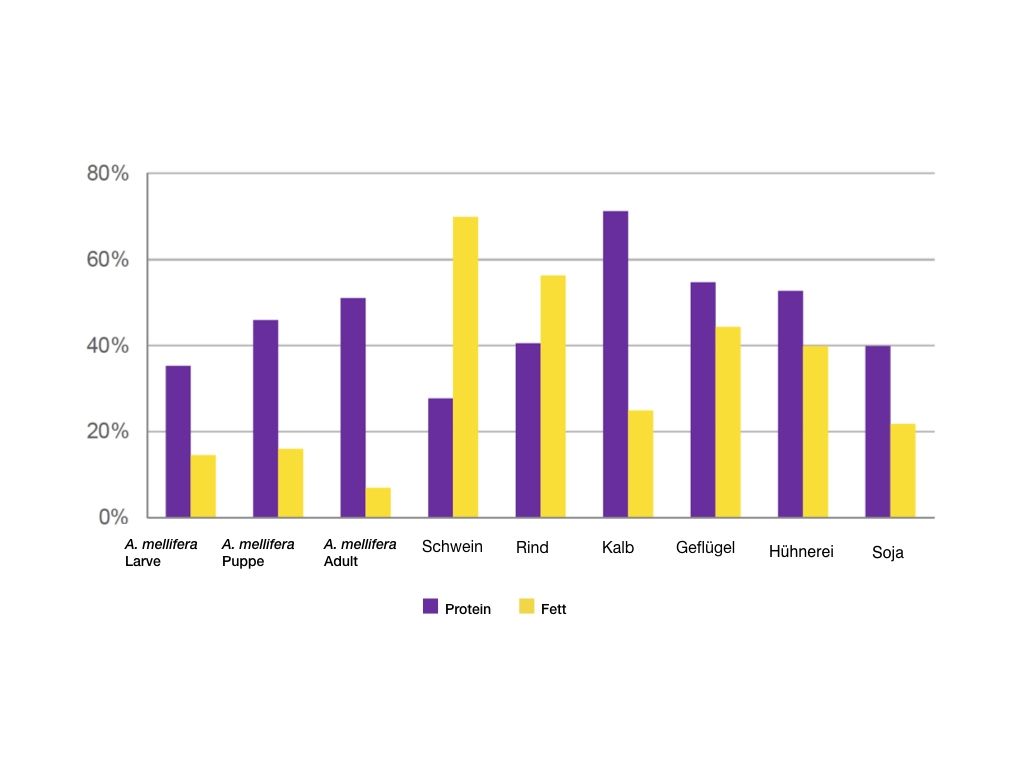 Vergleich des Protein- und Fettgehalts in Apis mellifera (Larven, Puppen und ausgewachsene Tiere) und verschiedenen Proteinquellen.