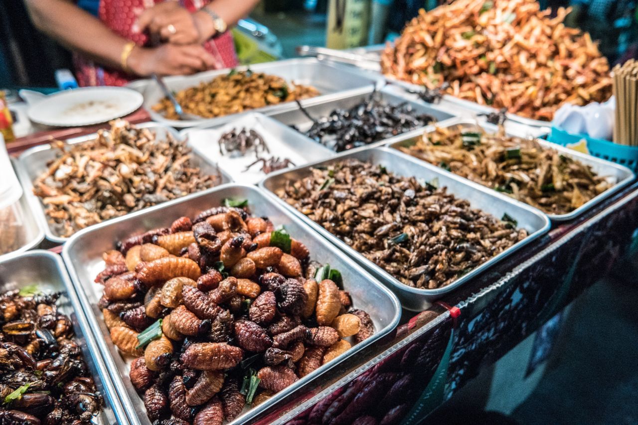 Fried insects on Khao San Road in Bangkok, Thailand.