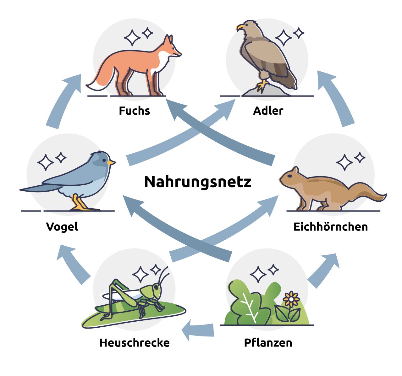 Nahrungsnetz